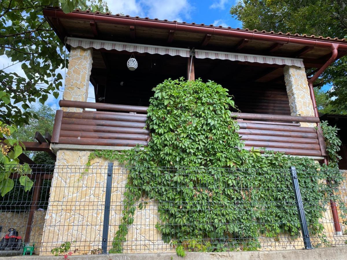 4Trees Holiday House Слуни Экстерьер фото