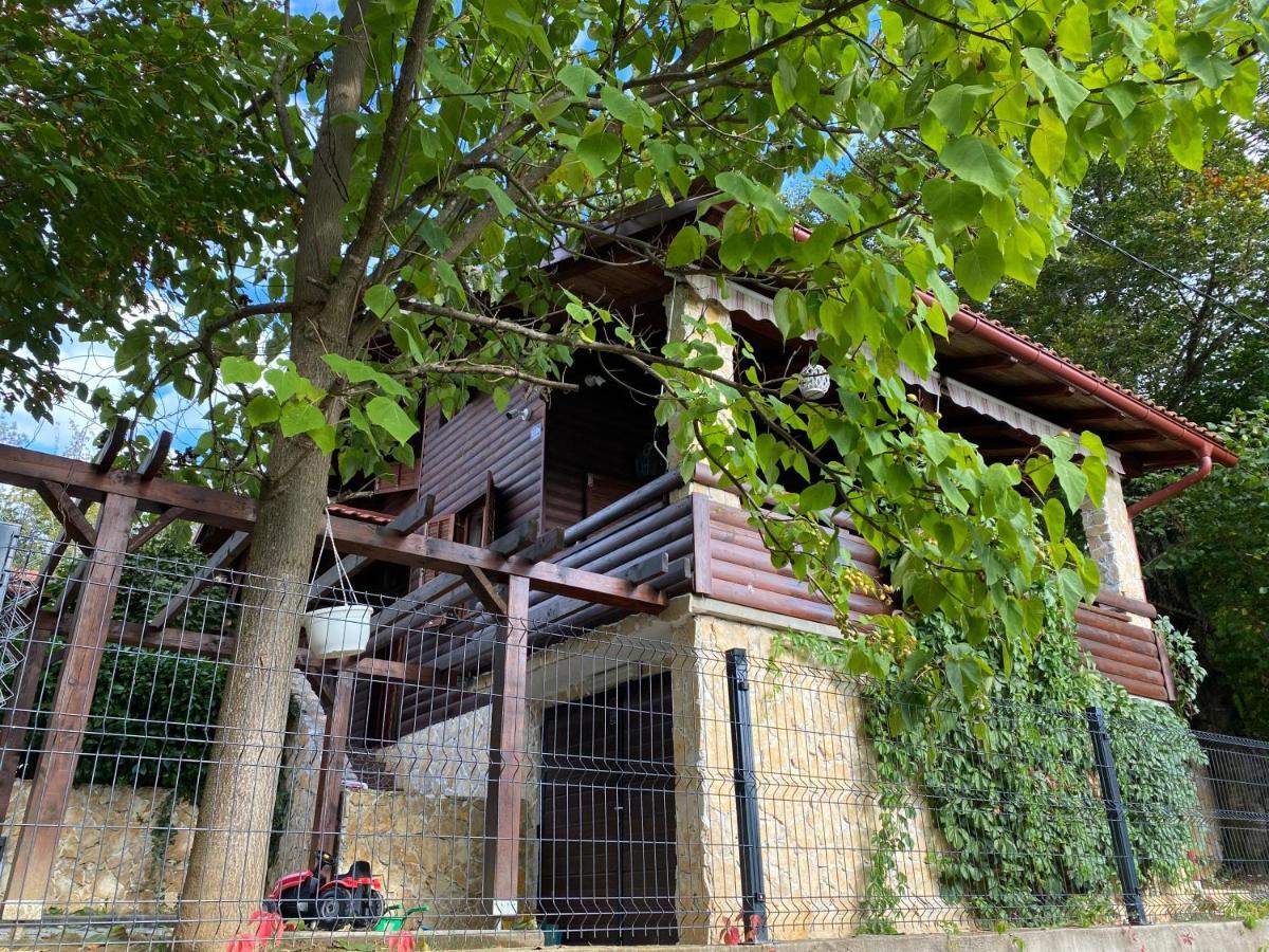 4Trees Holiday House Слуни Экстерьер фото